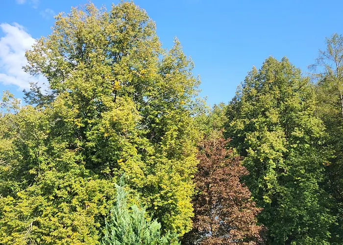 Bel - Self Check-inn Holiday home Eggenfelden